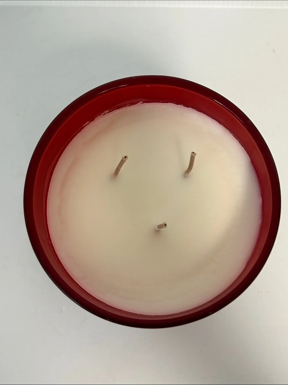 Sand + Paws NWT Unused Holiday 3 Wick Frazier Fir 21 Oz. Soy Wax Blend Candle